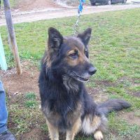 Ciro