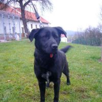 Daizy